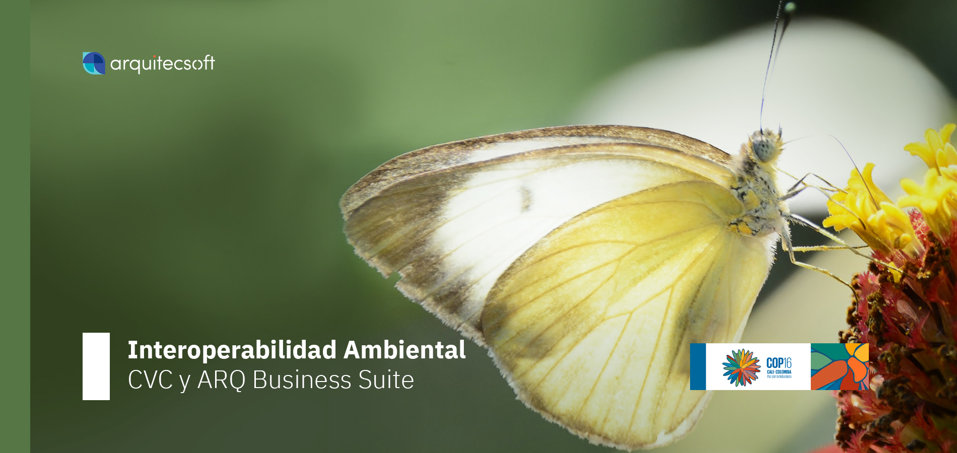 CVC y ARQ Business Suite: Tecnología para la Biodiversidad en Colombia